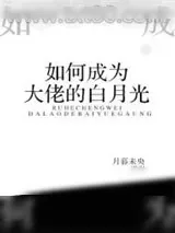 《如何成为大佬的白月光》小说封面