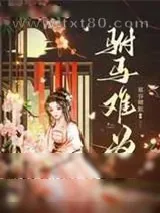 《驸马难为》小说封面