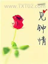 《一见钟情[娱乐圈]》小说封面