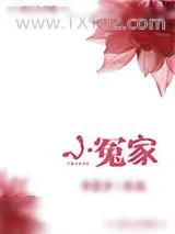 《小冤家》小说封面