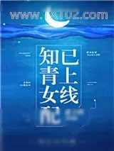 《知青女配已上线》小说封面