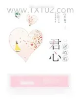 《君心意昭昭》小说封面