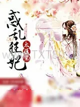 《惑乱狂妃太腹黑》小说封面
