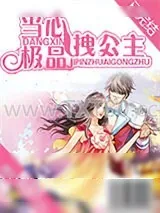 《当心极品拽公主》小说封面