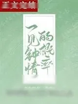 《一见钟情的概率》小说封面