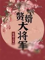 《赘婿大将军》小说封面