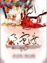 《良宵渡》小说封面