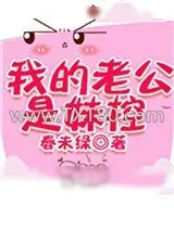 《我的老公是妹控》小说封面
