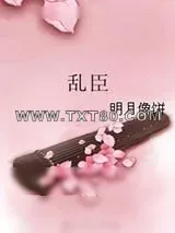 《乱臣》小说封面