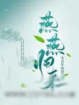 《燕燕归来》小说封面