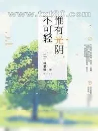 《惟有光阴不可轻》小说封面