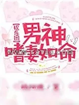 《男神嗜妻如命[娱乐圈]》小说封面