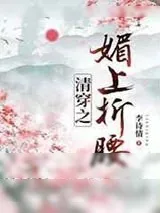 《清穿之媚上折腰》小说封面