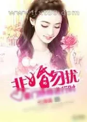 《非婚勿扰:豪门隐婚进行时》小说封面