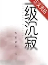 《一级沉寂》小说封面