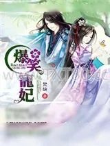 《爆笑宠妃：爷我等你休妻》小说封面