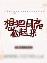 《想把月亮藏起来》小说封面