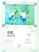 《眉眼盈盈处》小说封面