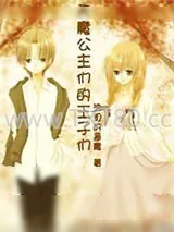 《天魔公主们的王子们》小说封面