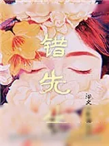 《错先生》小说封面