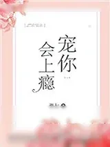 《宠你会上瘾》小说封面