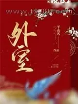 《外室》小说封面