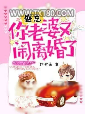 《盛总，你老婆又闹离婚了》小说封面