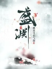 《盛渊》小说封面