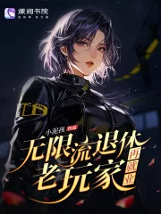 《无限流退休老玩家再就业》小说封面