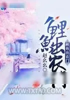 《鲤鱼出农门》小说封面