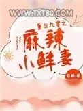 《重生九零之麻辣小鲜妻》小说封面