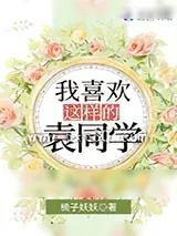 《我喜欢这样的袁同学》小说封面