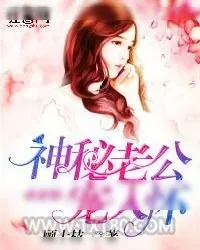 《一夜蜜婚：神秘老公宠入怀》小说封面