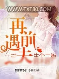 《再遇前夫,生个二胎好不好？》小说封面