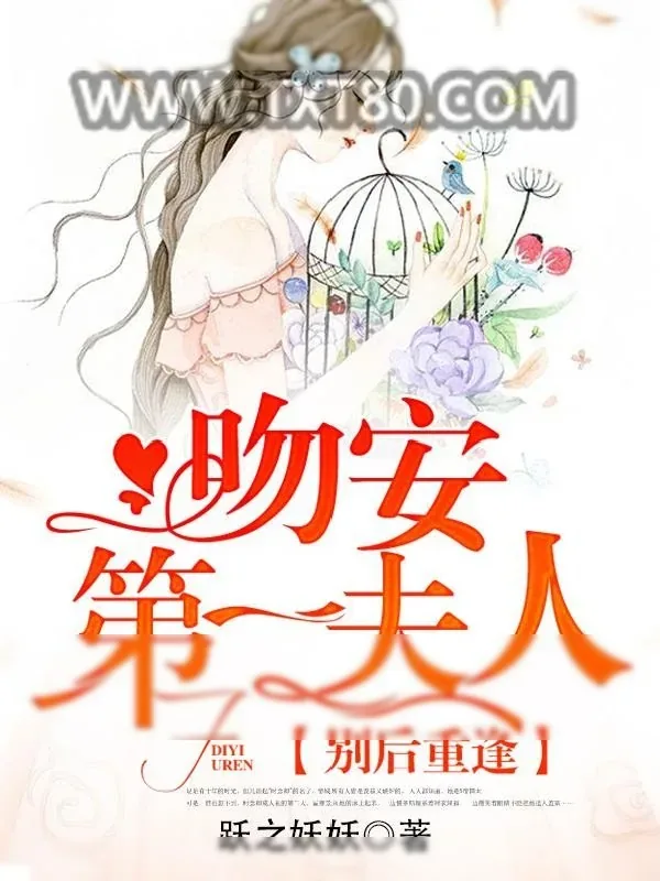 《别后重逢：吻安,第一夫人！》小说封面