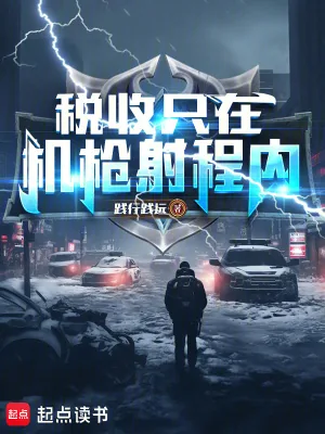 《税收只在机枪射程内!》小说封面