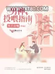 《男神投喂指南》小说封面