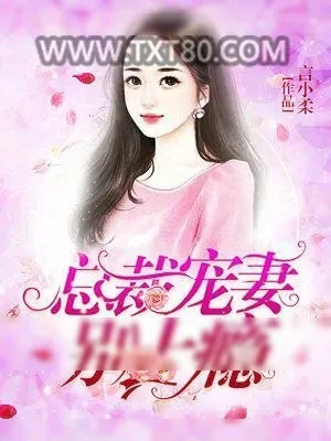《总裁宠妻别上瘾》小说封面