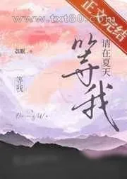 《请在夏天等我》小说封面