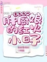 《重生年代：胖厨娘的红火小日子》小说封面
