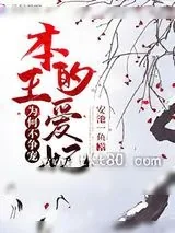 《本王的爱妃为何不争宠》小说封面