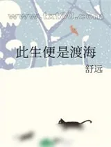《此生便是渡海》小说封面