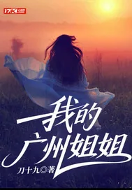 《我的广州姐姐》小说封面