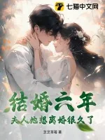 《结婚六年,夫人她想离婚很久了》小说封面