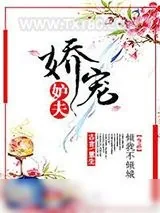 《娇宠妒夫》小说封面