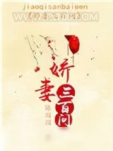 《娇妻三百问》小说封面