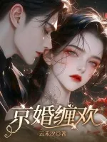 《京婚缠欢》小说封面