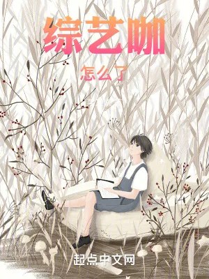 《综艺咖怎么了》小说封面