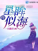 《你星眸似海》小说封面