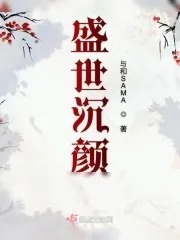 《盛世沉颜》小说封面